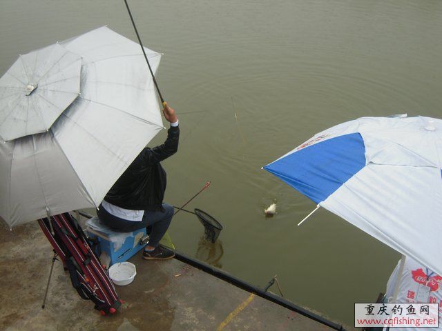 DSCN7878.JPG