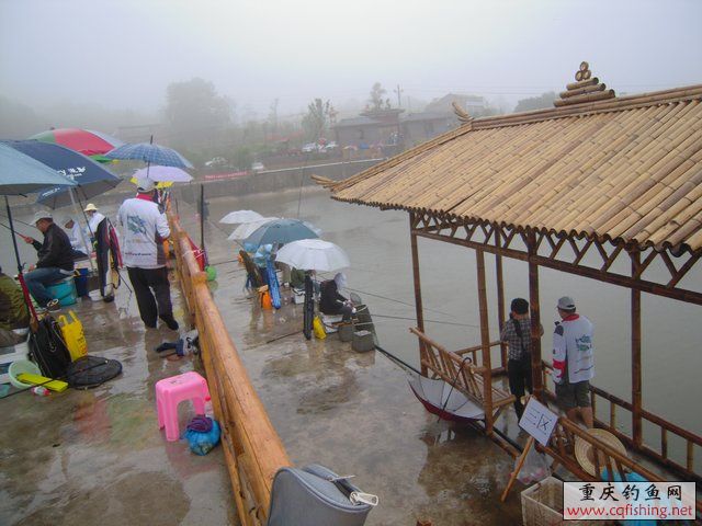 DSCN7880.JPG