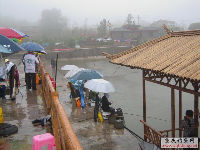 DSCN7881.JPG
