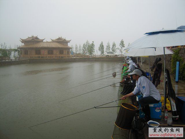DSCN7884.JPG