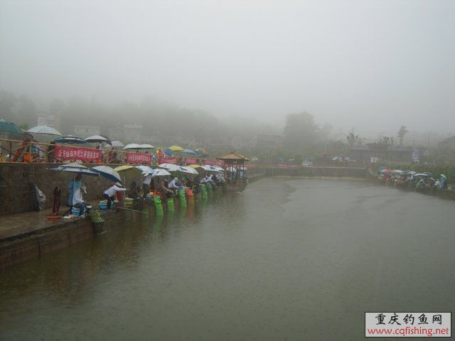 DSCN7888.JPG