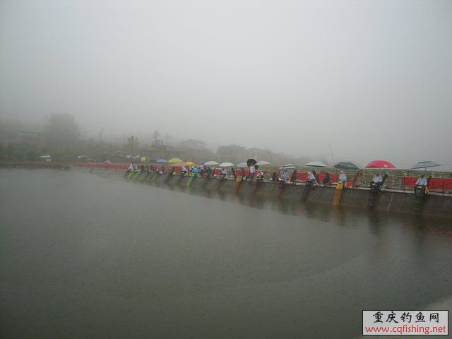 DSCN7891.JPG