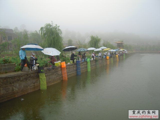 DSCN7892.JPG