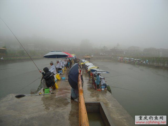DSCN7893.JPG