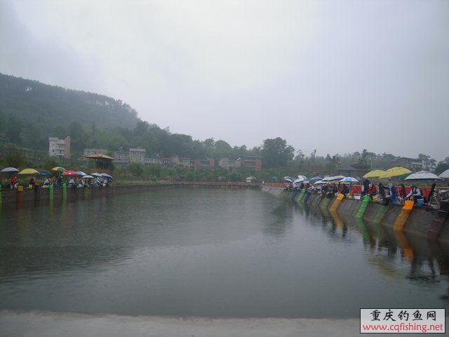 DSCN7910.JPG