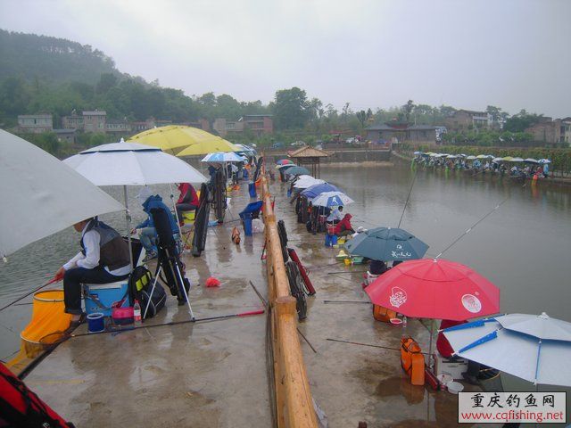 DSCN7913.JPG