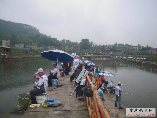 DSCN7916.JPG
