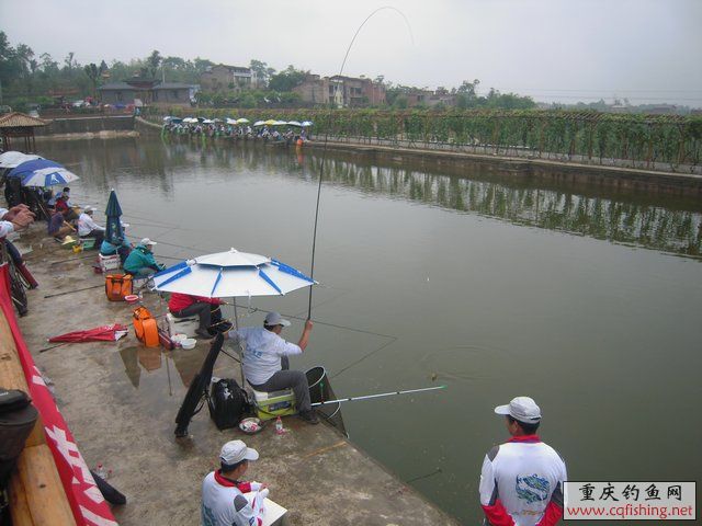 DSCN7919.JPG