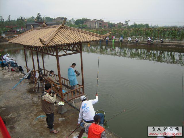 DSCN7921.JPG