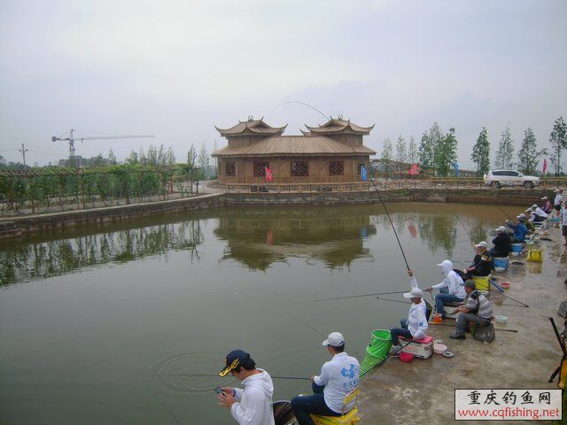 DSCN7924.JPG