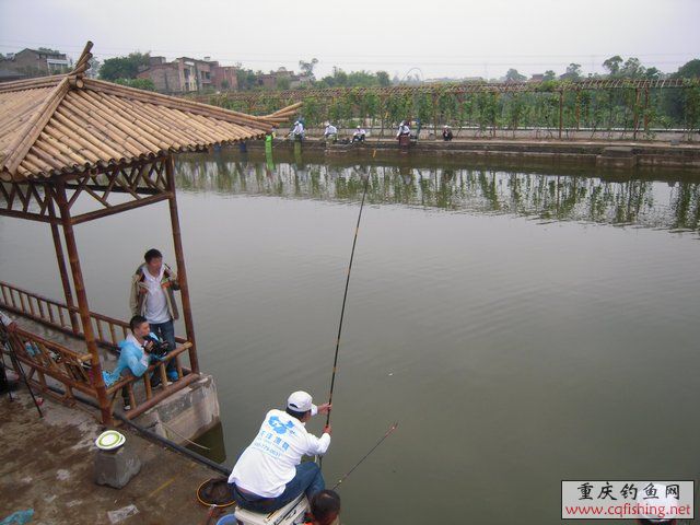 DSCN7926.JPG