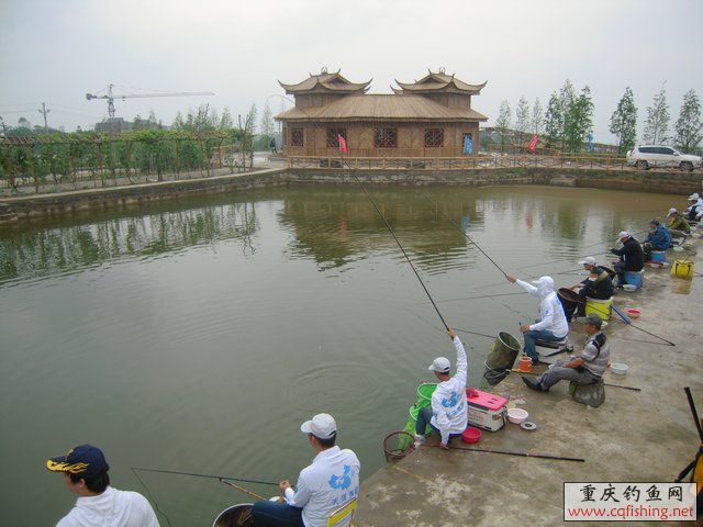 DSCN7928.JPG