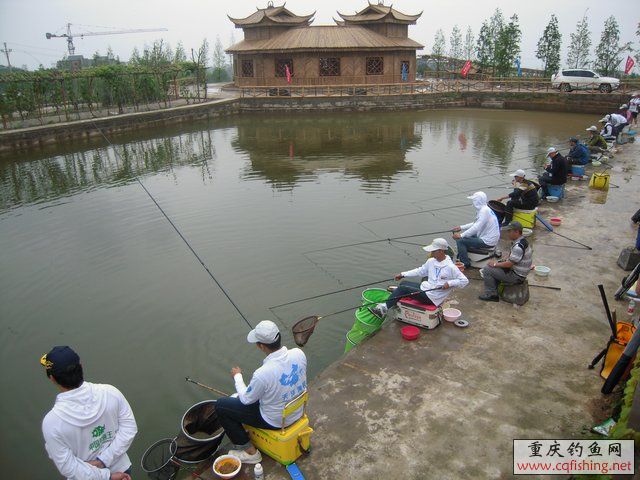 DSCN7929.JPG
