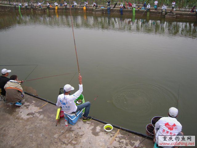 DSCN7930.JPG