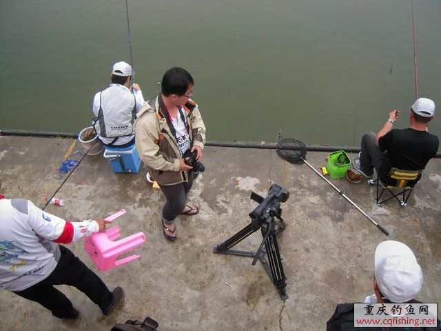 DSCN7931.JPG