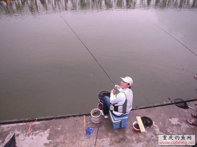 DSCN7932.JPG