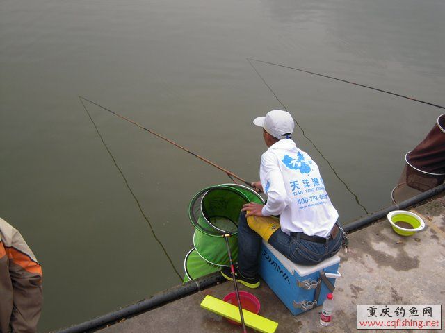 DSCN7933.JPG