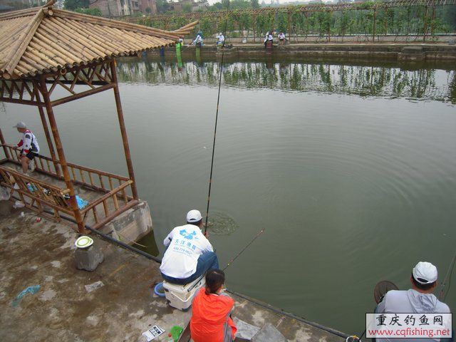 DSCN7934.JPG