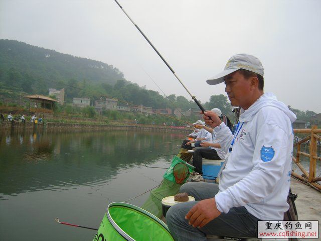 DSCN7936.JPG