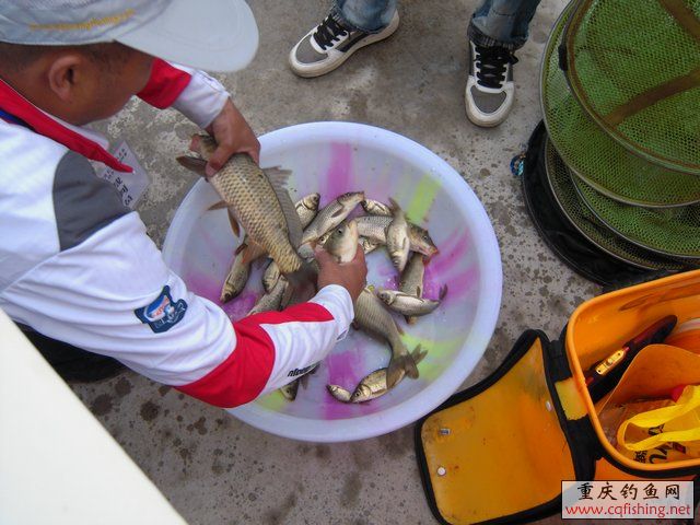 DSCN7939.JPG