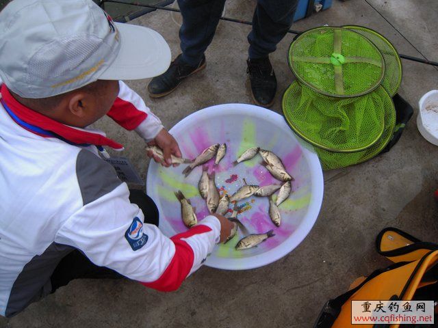 DSCN7940.JPG