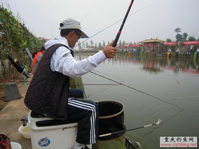 DSCN7945.JPG