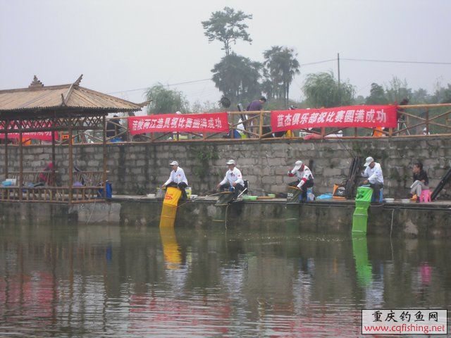 DSCN7946.JPG
