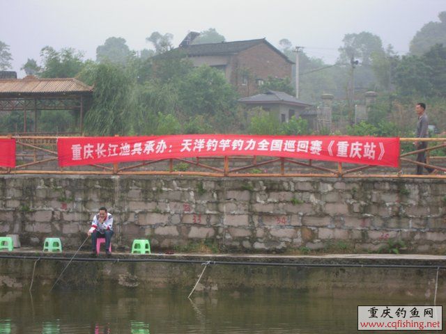 DSCN7947.JPG