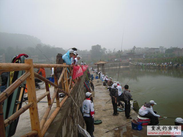 DSCN7951.JPG