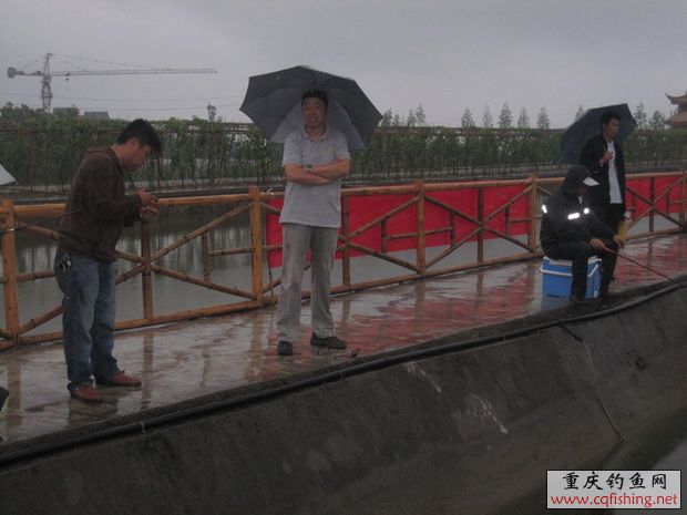 IMG_5504_С.jpg