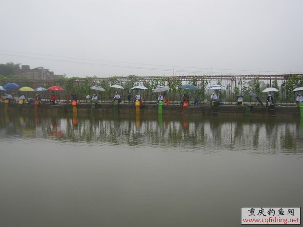 IMG_5698_С.jpg