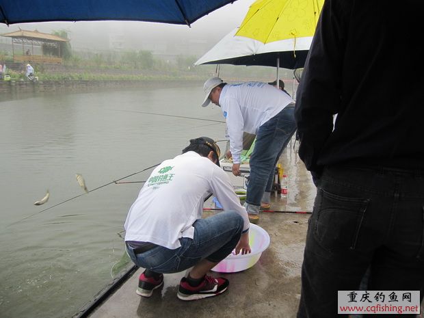 IMG_5730_С.jpg