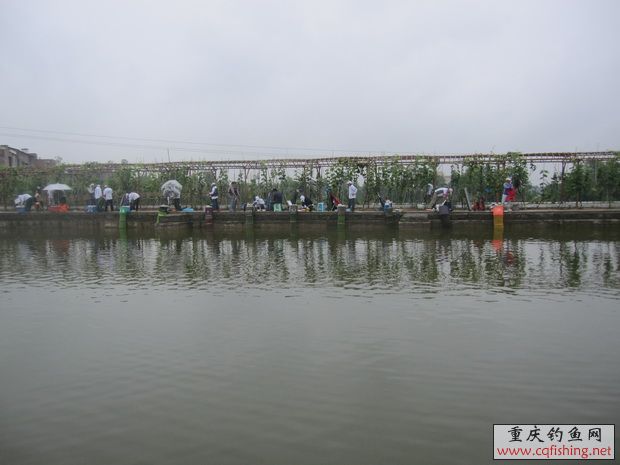 IMG_5789_С.jpg