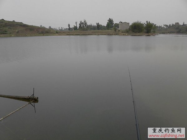 104126w66gf6fnyg6syrtt.jpg