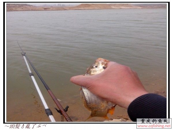 conew_img_20130428_124317.jpg