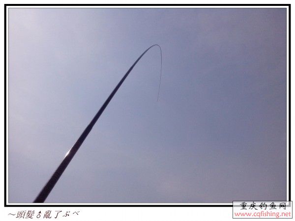 conew_img_20130428_140528.jpg