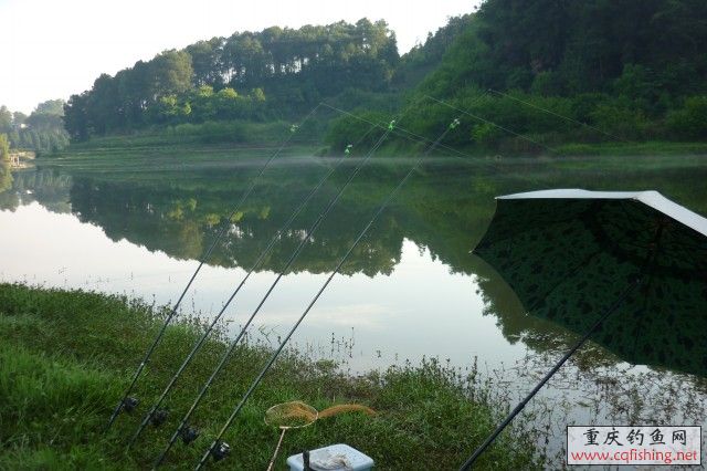 P1010943.jpg