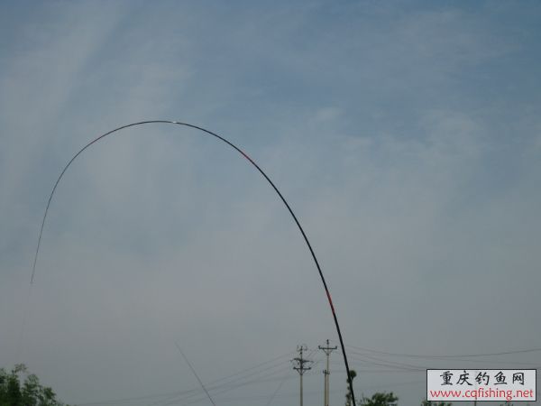 124526sbb82x9jhrr8ro10.jpg