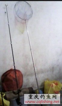 ֳ