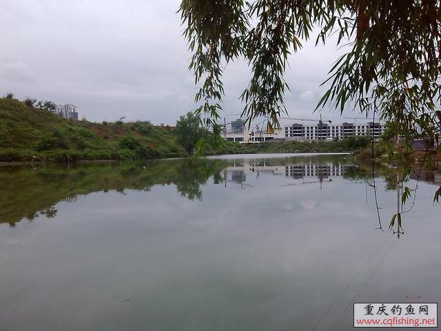 С IMG_20130518_122011.jpg