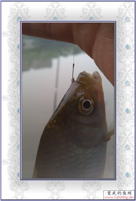 IMAG0052.jpg