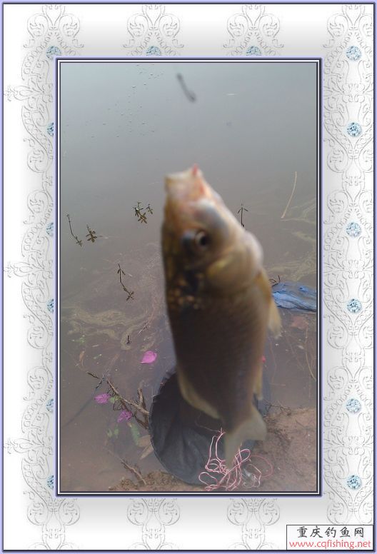 IMAG0056.jpg