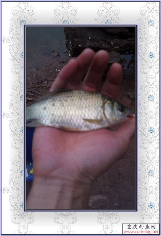 IMAG0057.jpg