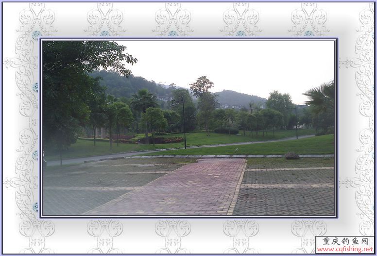 IMAG0063.jpg