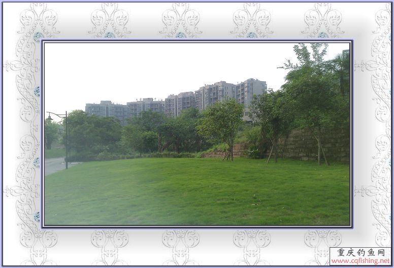 IMAG0065.jpg