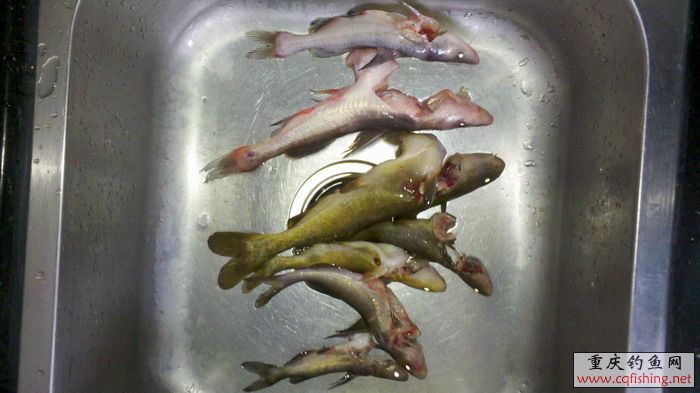4.JPG
