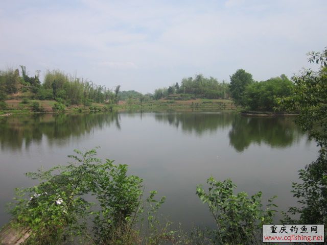 Ƭﻨ 430.jpg