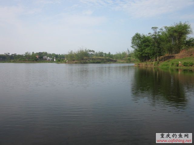 Ƭﻨ 443.jpg