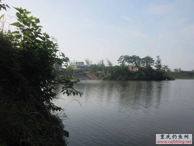 Ƭﻨ 444.jpg