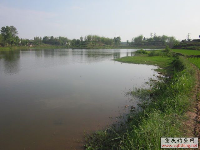 Ƭﻨ 449.jpg